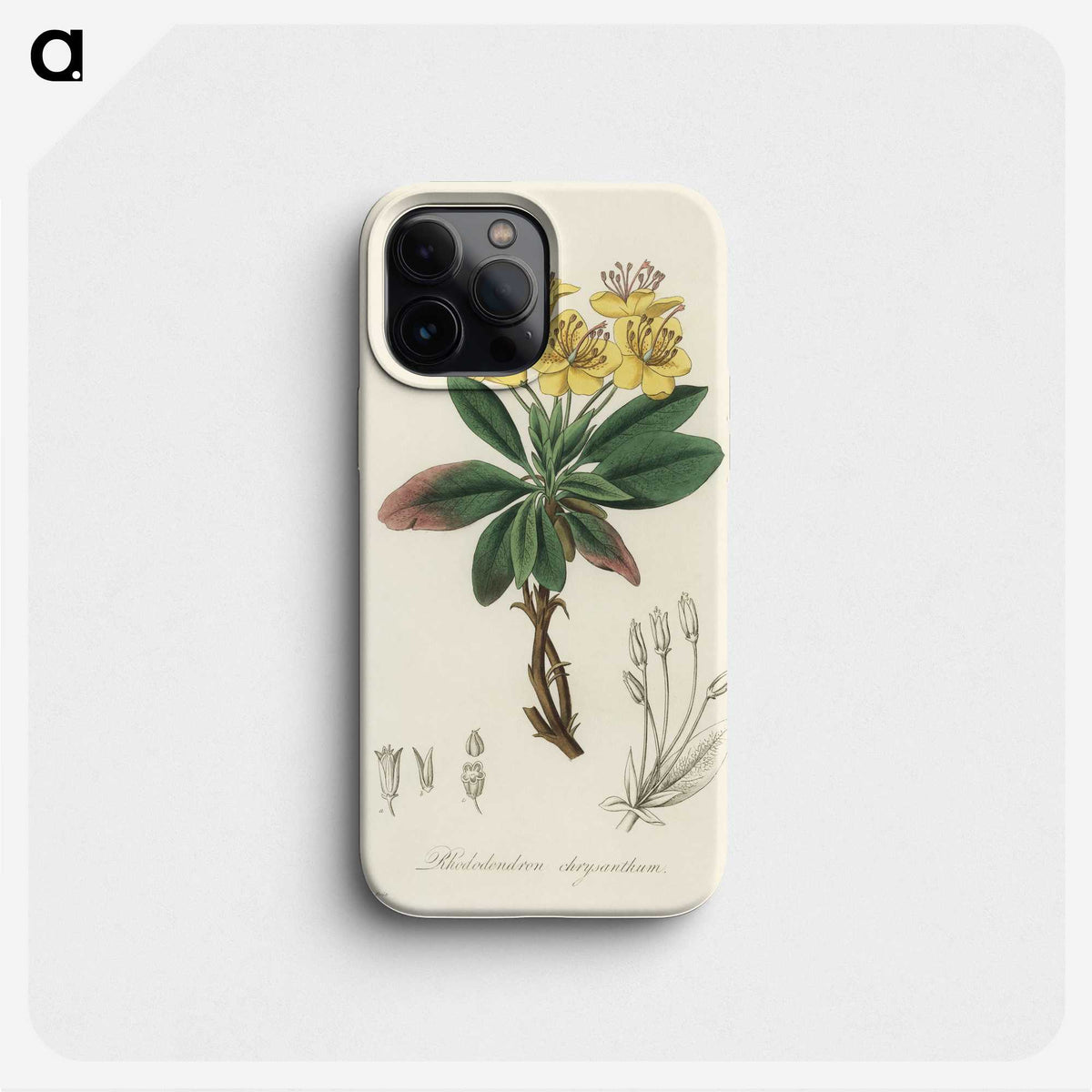 1-55_Medical-Botany_phone