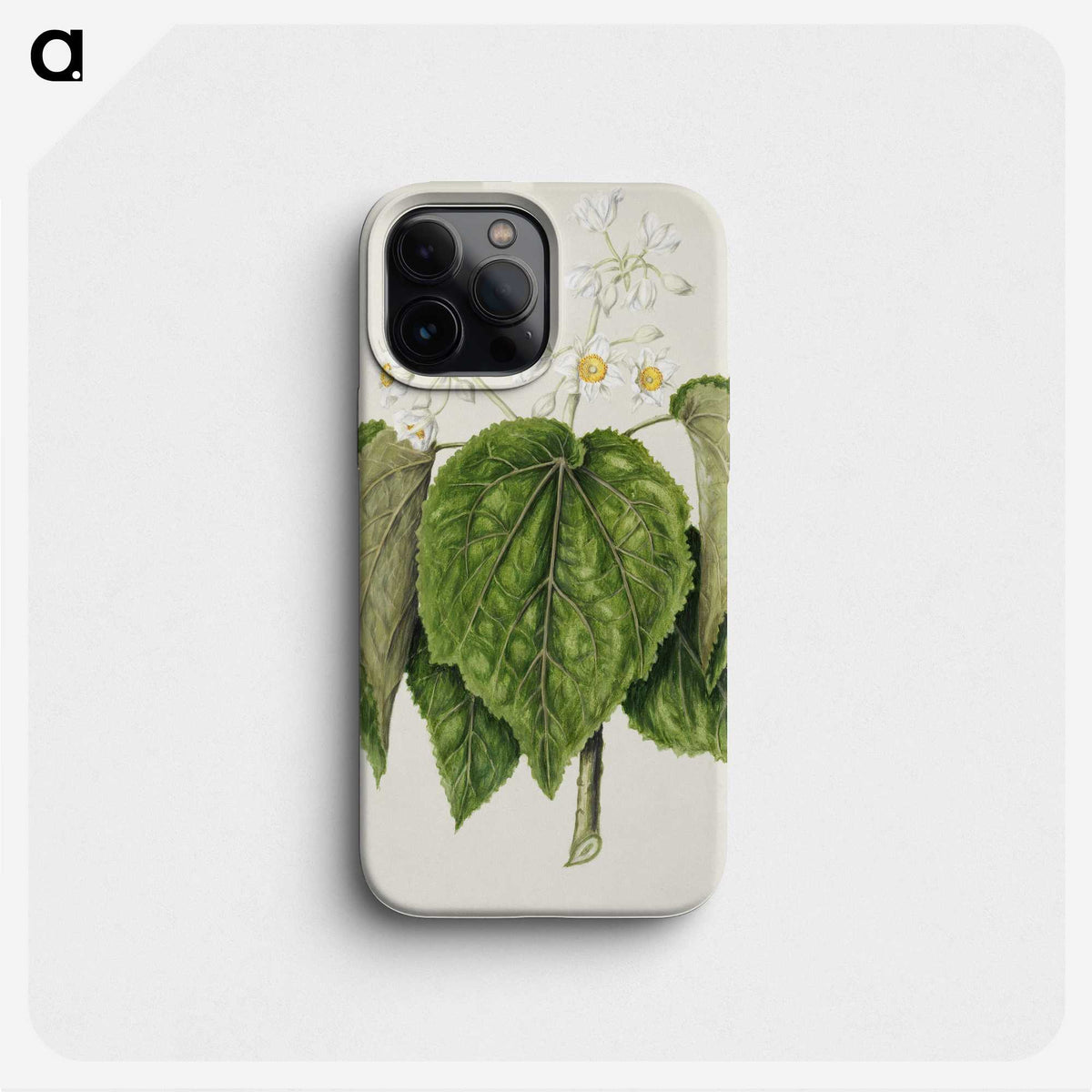 1-55_Native-Flowering-Plants-of-New-Zealand_phone