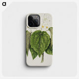 1-55_Native-Flowering-Plants-of-New-Zealand_phone