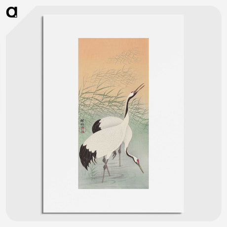 1-55_Ohara-Koson_picture