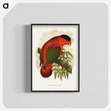 1-55_Parrots-in-Captivity_blk-crop
