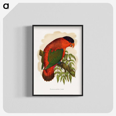 1-55_Parrots-in-Captivity_blk-crop