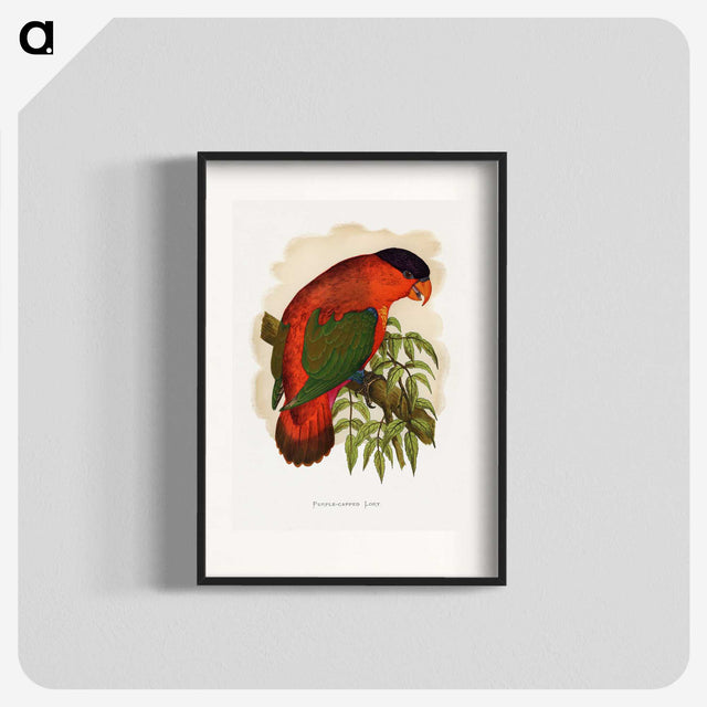 1-55_Parrots-in-Captivity_blk