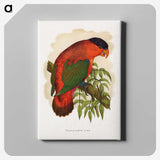 1-55_Parrots-in-Captivity_canvas