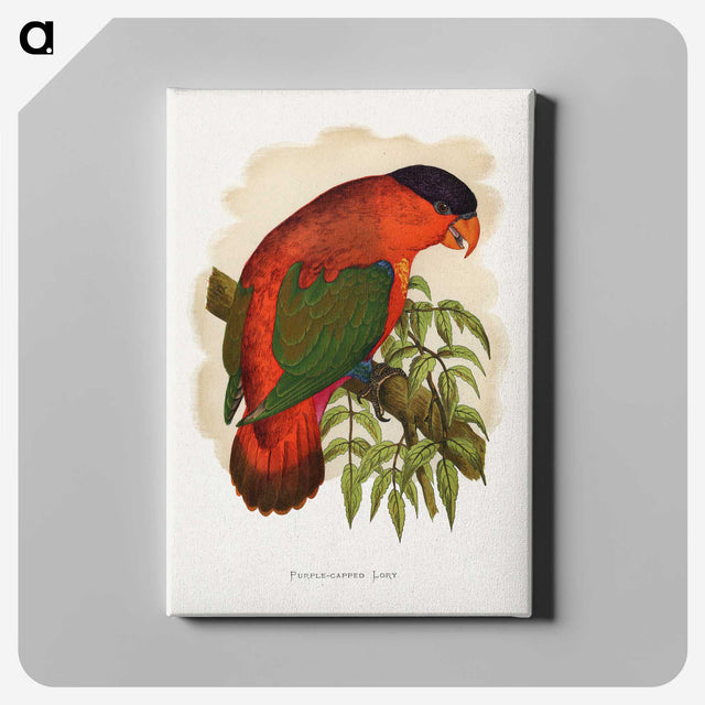 1-55_Parrots-in-Captivity_canvas