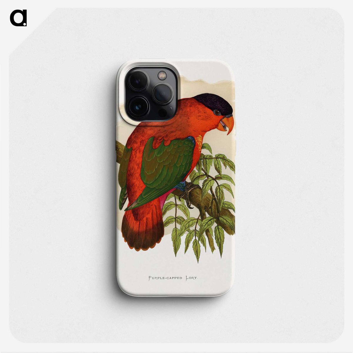 1-55_Parrots-in-Captivity_phone