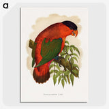 1-55_Parrots-in-Captivity_picture-crop