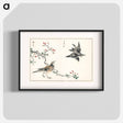アートポスター-Dosky Thrush and Japanese Grey Thrush
 - 鳥類図鑑 Poster.