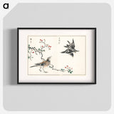 アートポスター-Dosky Thrush and Japanese Grey Thrush
 - 鳥類図鑑 Poster.