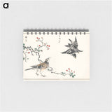 アートメモ帳-Dosky Thrush and Japanese Grey Thrush
 - 鳥類図鑑 Memo.