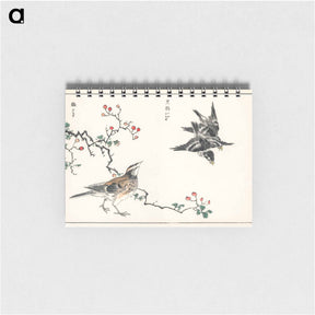 アートメモ帳-Dosky Thrush and Japanese Grey Thrush
 - 鳥類図鑑 Memo.