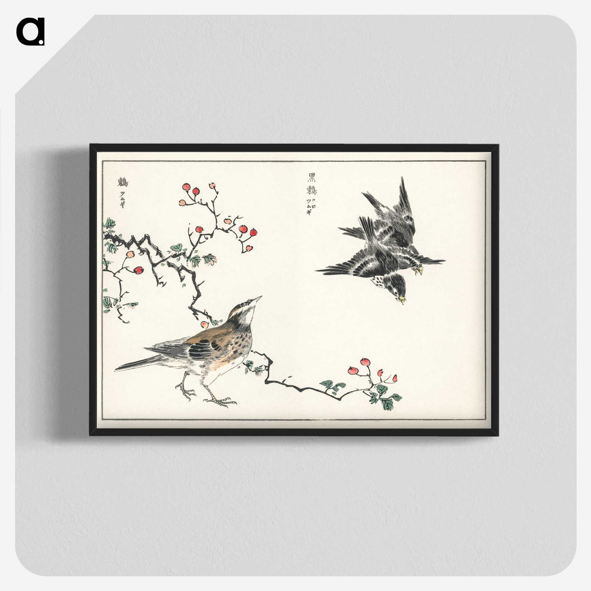 1-55_Pictorial-Monograph-of-Birds_blk-crop