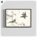1-55_Pictorial-Monograph-of-Birds_blk-crop