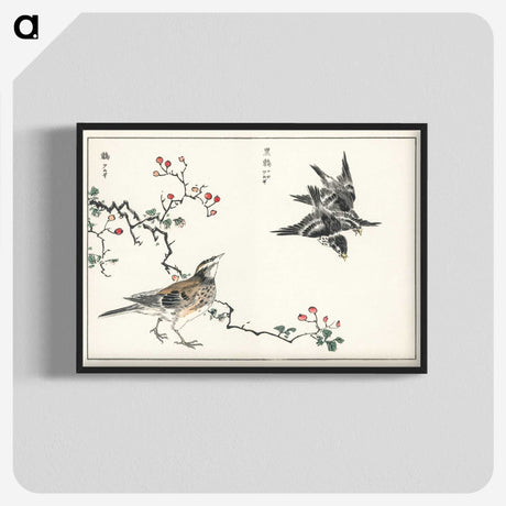 1-55_Pictorial-Monograph-of-Birds_blk-crop