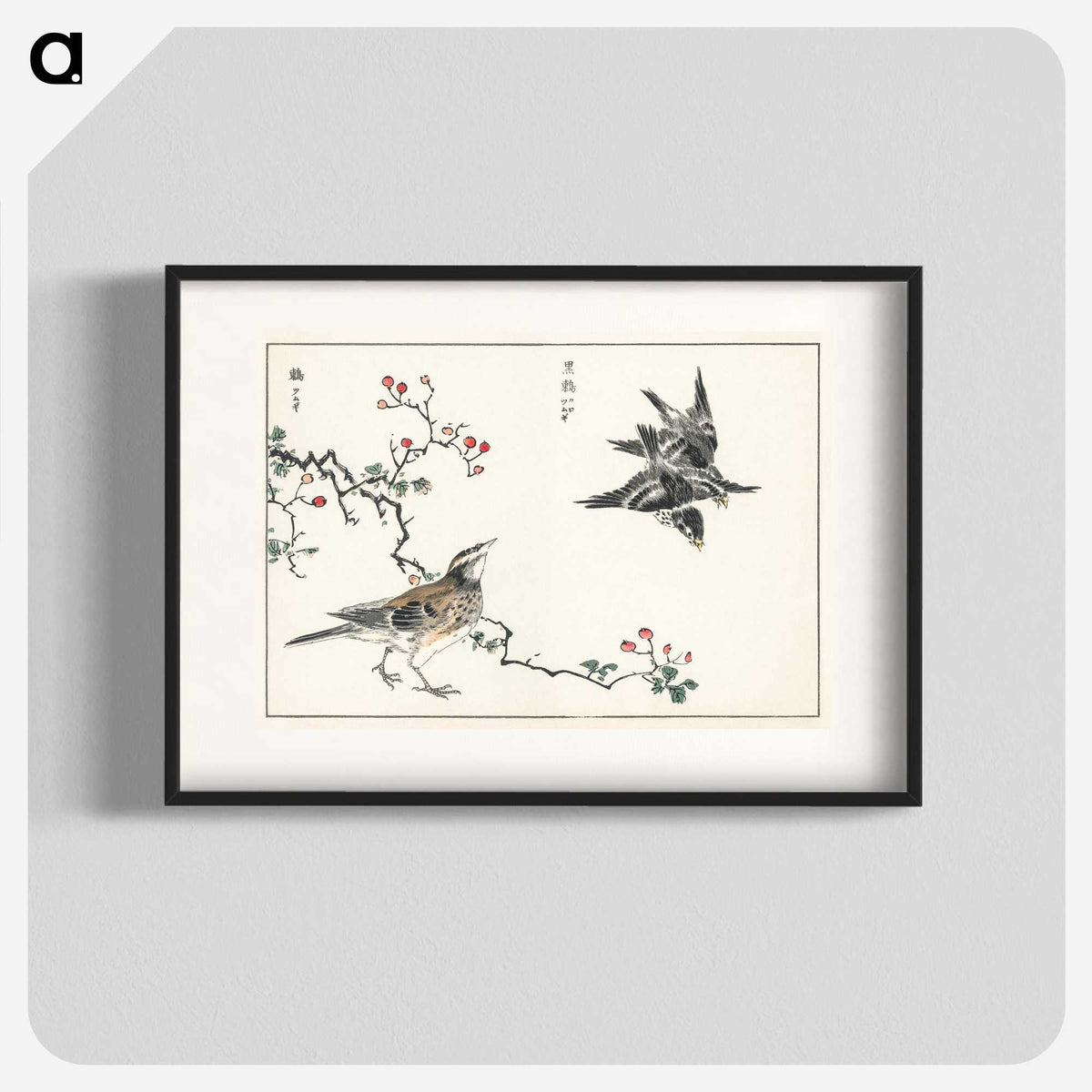 1-55_Pictorial-Monograph-of-Birds_blk