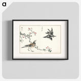 1-55_Pictorial-Monograph-of-Birds_blk