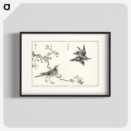 1-55_Pictorial-Monograph-of-Birds_blk
