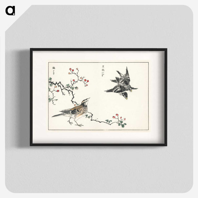 1-55_Pictorial-Monograph-of-Birds_blk