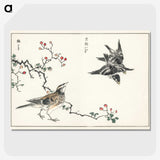 1-55_Pictorial-Monograph-of-Birds_picture-crop