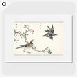 1-55_Pictorial-Monograph-of-Birds_picture