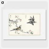 1-55_Pictorial-Monograph-of-Birds_picture