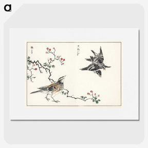 1-55_Pictorial-Monograph-of-Birds_picture