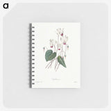 1-55_Pierre-Joseph-Redoute_memo