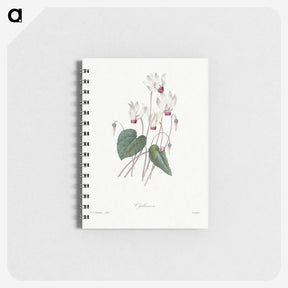 1-55_Pierre-Joseph-Redoute_memo
