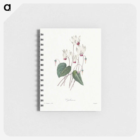 1-55_Pierre-Joseph-Redoute_memo