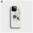1-55_Pierre-Joseph-Redoute_phone