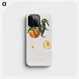 1-55_Pomona-Italiana_phone