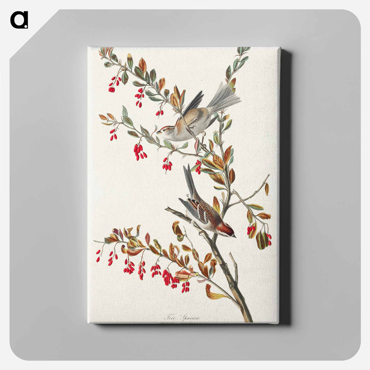 アートパネル-Tree Sparrow from Birds of America
 - アメリカの鳥たち Canvas.