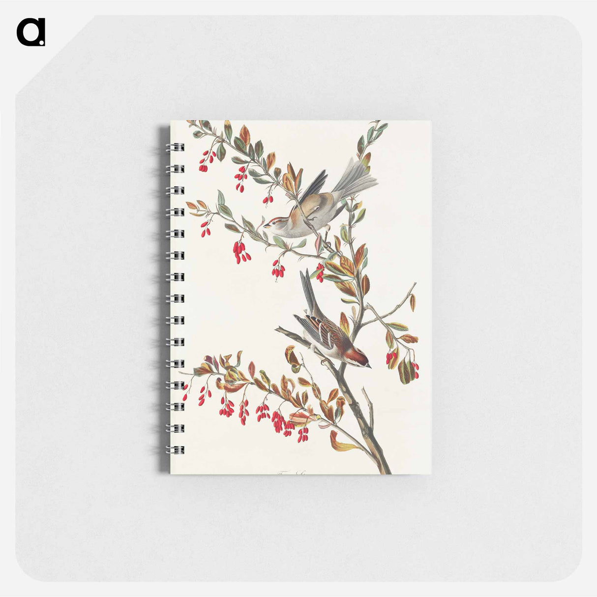 アートメモ帳-Tree Sparrow from Birds of America
 - アメリカの鳥たち Memo.