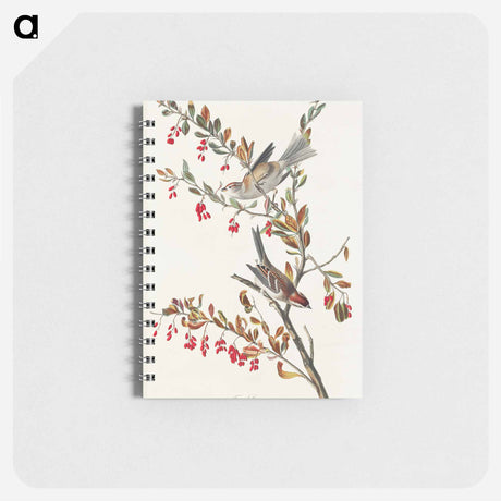 アートメモ帳-Tree Sparrow from Birds of America
 - アメリカの鳥たち Memo.