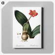 1-55_The-Lilies_canvas