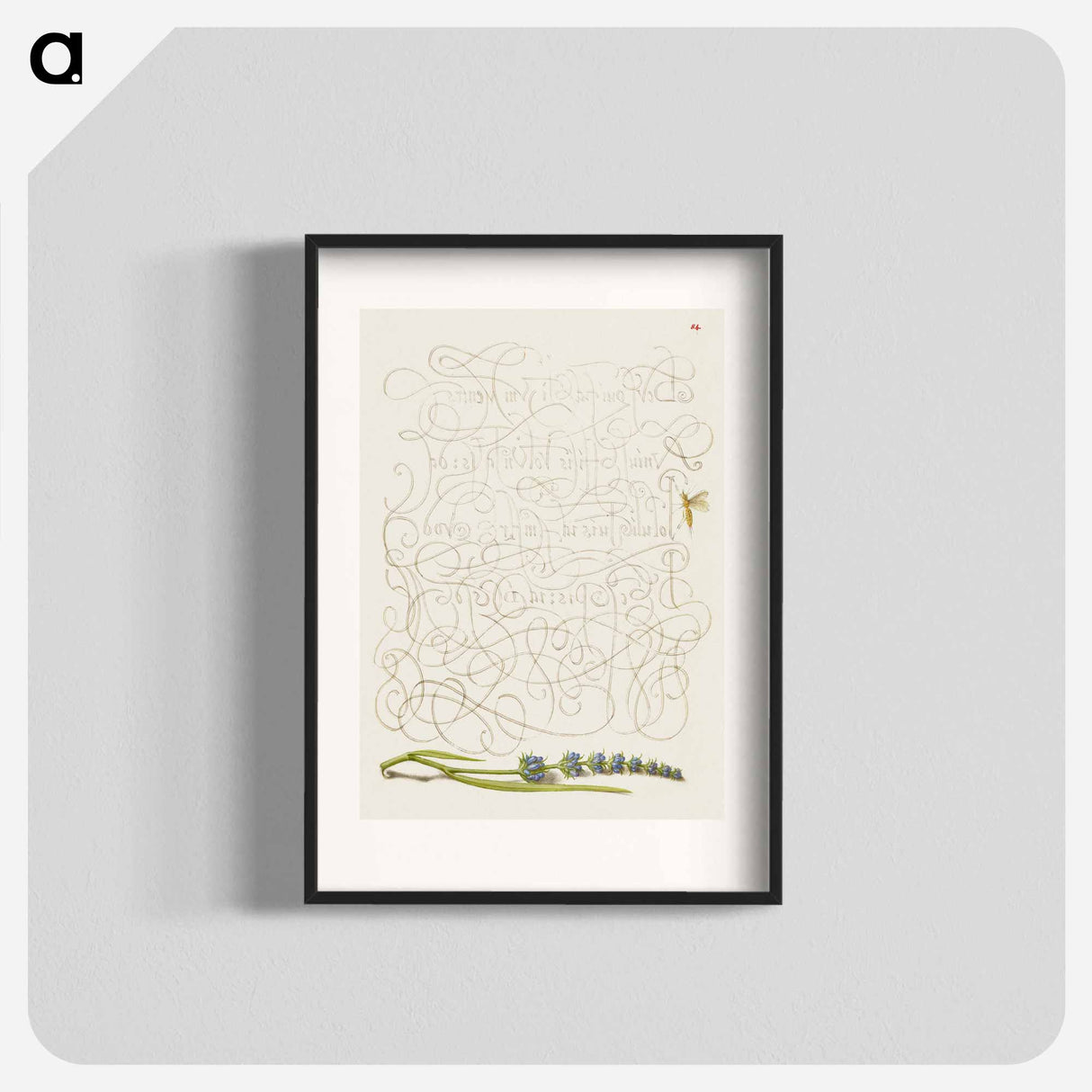 アートポスター-Insect and Hyssop from Mira Calligraphiae Monumenta
 - 書道のお手本 Poster.