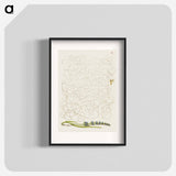 アートポスター-Insect and Hyssop from Mira Calligraphiae Monumenta
 - 書道のお手本 Poster.
