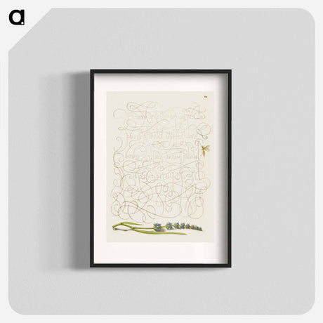 アートポスター-Insect and Hyssop from Mira Calligraphiae Monumenta
 - 書道のお手本 Poster.