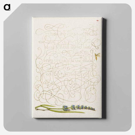 アートパネル-Insect and Hyssop from Mira Calligraphiae Monumenta
 - 書道のお手本 Canvas.