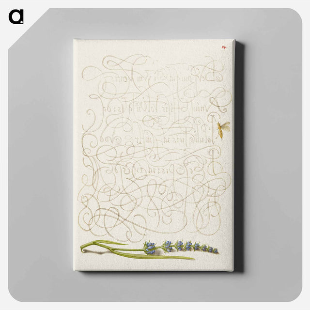 アートパネル-Insect and Hyssop from Mira Calligraphiae Monumenta
 - 書道のお手本 Canvas.