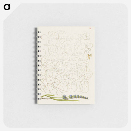 アートメモ帳-Insect and Hyssop from Mira Calligraphiae Monumenta
 - 書道のお手本 Memo.
