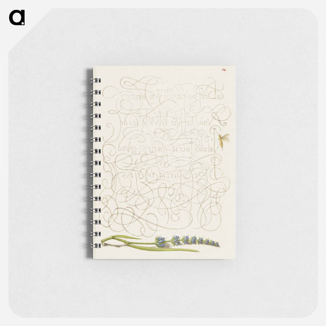 アートメモ帳-Insect and Hyssop from Mira Calligraphiae Monumenta
 - 書道のお手本 Memo.