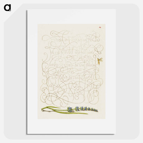 アートポスター-Insect and Hyssop from Mira Calligraphiae Monumenta
 - 書道のお手本 Poster.