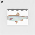 1-55_The-Natural-History-of-British-Fishes_memo