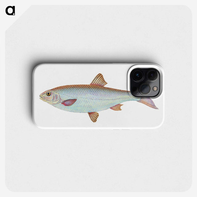 1-55_The-Natural-History-of-British-Fishes_phone