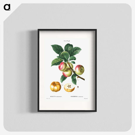 1-55_Treatise-on-Trees-and-Shrubs_blk