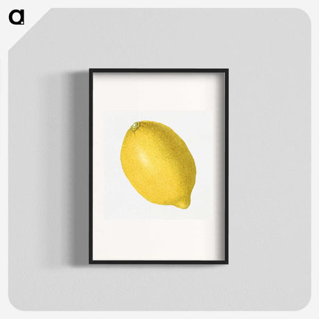 1-55_USDA-Watercolor-Fruit-Painting-Collection_blk