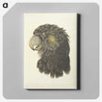 1-56_Aert-Schouman_canvas