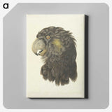 1-56_Aert-Schouman_canvas