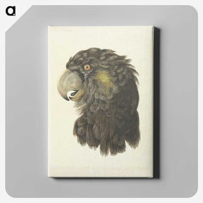 1-56_Aert-Schouman_canvas